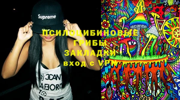 хмурый Краснослободск